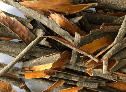 Alder buckthorn, bark