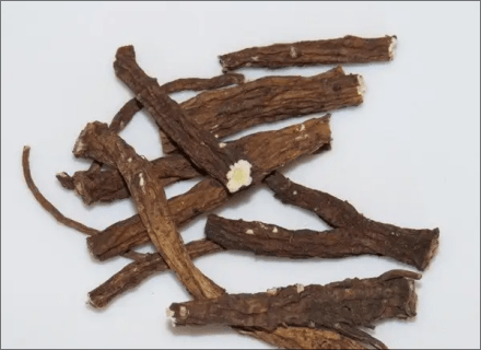 Common dandelion, root