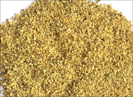 Elderberry rubbed, flower