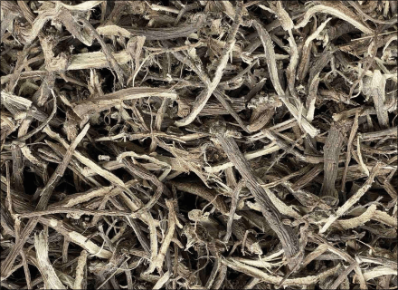 Great burdock, root