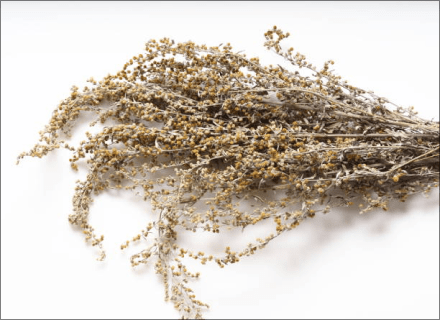 Wormwood, grass